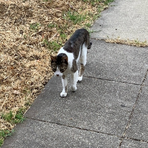 Meet your Posher, Thomas - Picture 15 of 16